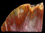 Red Araucaria Petrified Wood Slab #6831-1